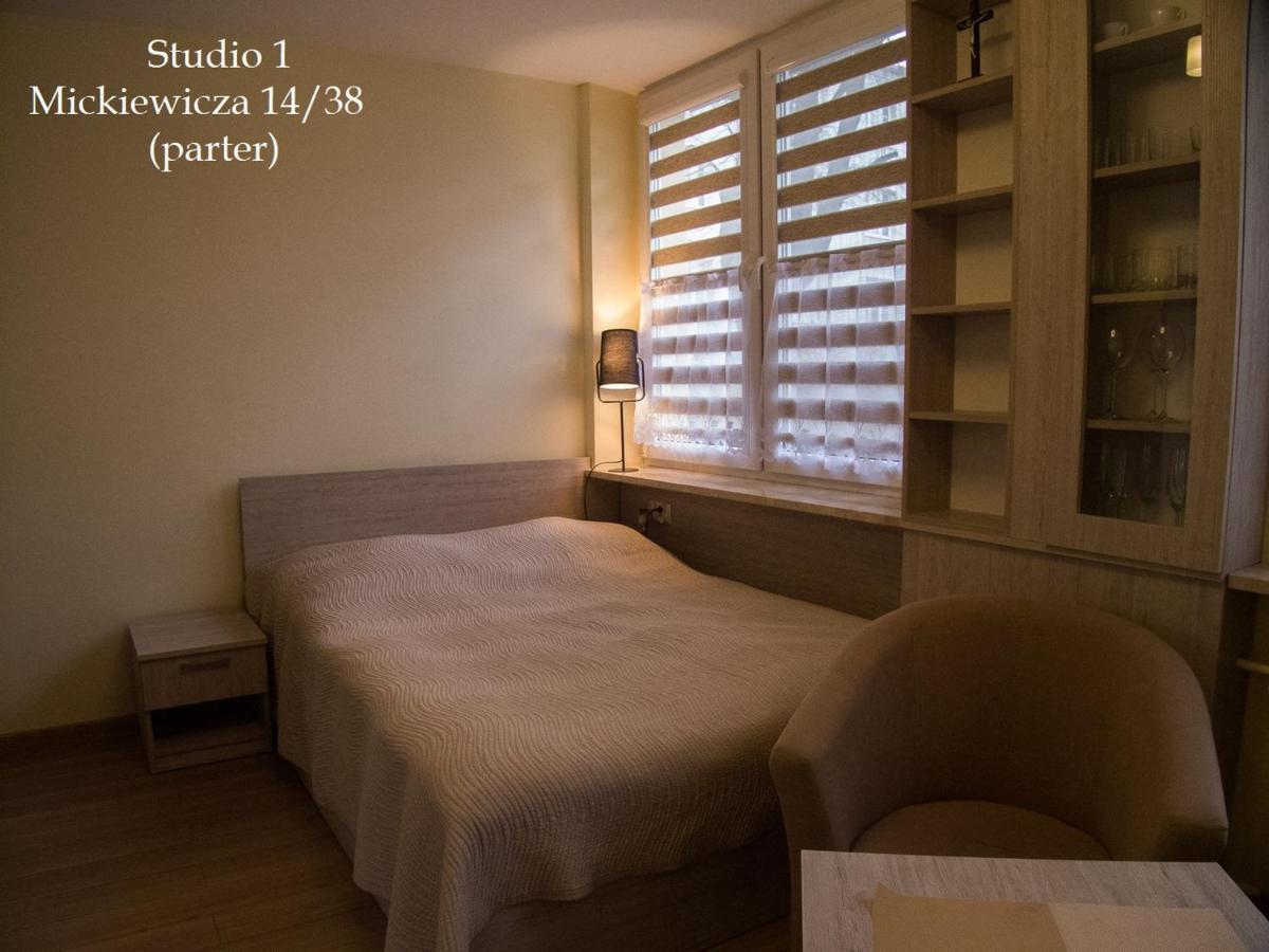 Studio Park Saski 1 & 2 Sandomierz Kültér fotó